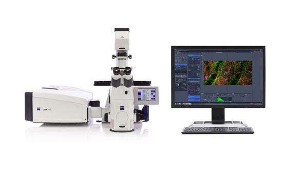 动物研究所超高分辨率活细胞共聚焦显微镜成交公告